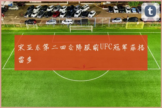 宋亚东第二回合降服前UFC冠军菲格雷多