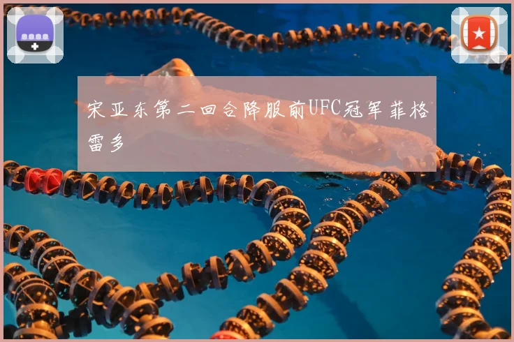 宋亚东第二回合降服前UFC冠军菲格雷多