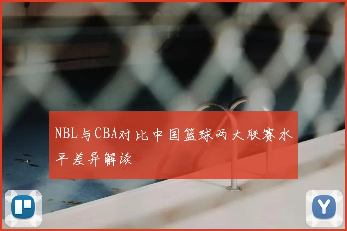NBL与CBA对比中国篮球两大联赛水平差异解读